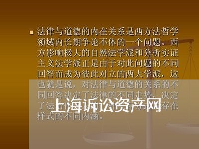 上海诉讼资产网