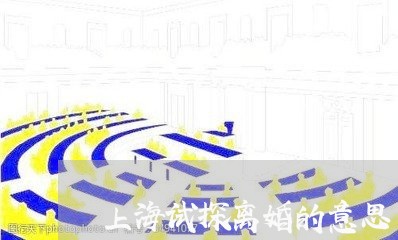 上海试探离婚的意思/2023032484704