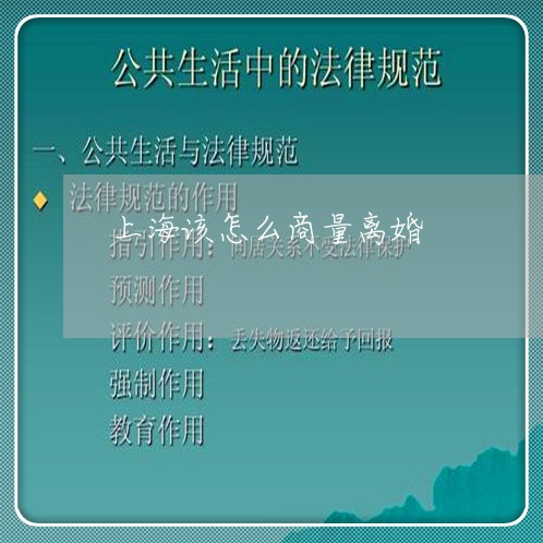 上海该怎么商量离婚/2023032572503