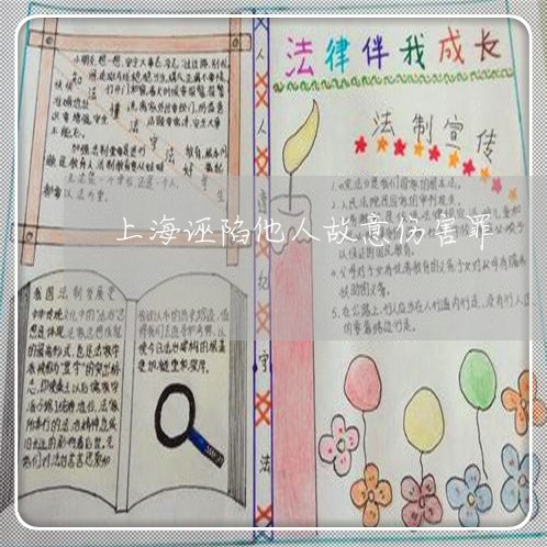 上海诬陷他人故意伤害罪/2023021635148 上海诬陷他人故意伤害罪/2023021635148