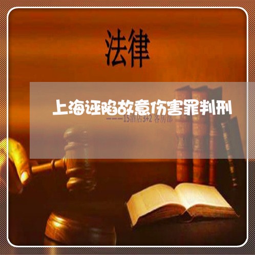 上海诬陷故意伤害罪判刑/2023041118471