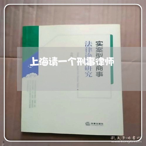 上海请一个刑事律师/2023032549359