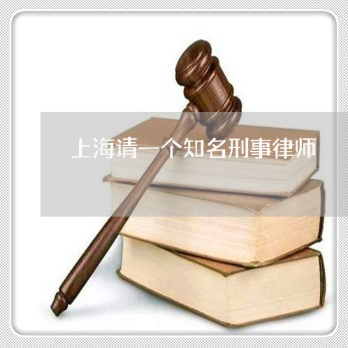 上海请一个知名刑事律师/2023041138159