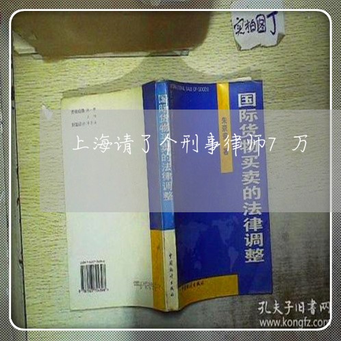 上海请了个刑事律师7万/2023041149360