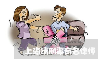 上海请刑事有名律师/2023032576925 上海请刑事有名律师/2023032576925