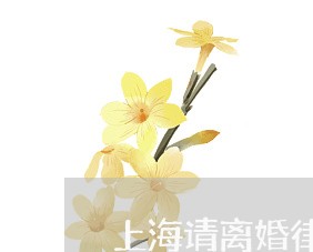 上海请离婚律师电话多少/2023021629371 上海请离婚律师电话多少/2023021629371
