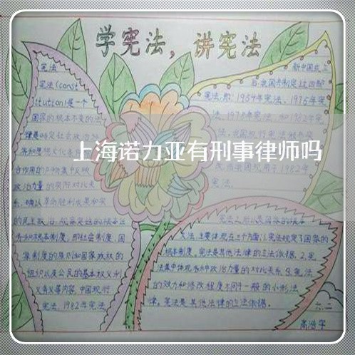 上海诺力亚有刑事律师吗/2023041182513