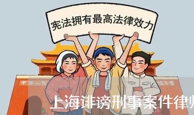 上海诽谤刑事案件律师立案标准/2023041512916