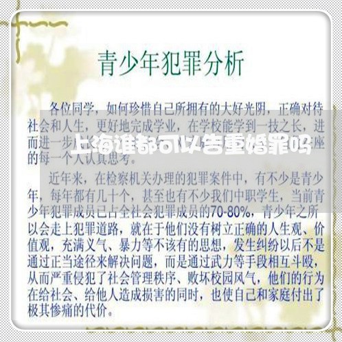 上海谁都可以告重婚罪吗/2023021529369 上海谁都可以告重婚罪吗/2023021529369