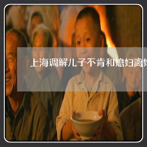 上海调解儿子不肯和媳妇离婚/2023032258571 上海调解儿子不肯和媳妇离婚/2023032258571