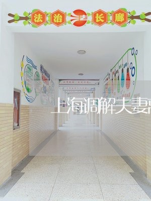 上海调解夫妻离婚不离家/2023021504846 上海调解夫妻离婚不离家/2023021504846