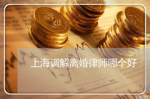 上海调解离婚律师哪个好/2023021529362 上海调解离婚律师哪个好/2023021529362