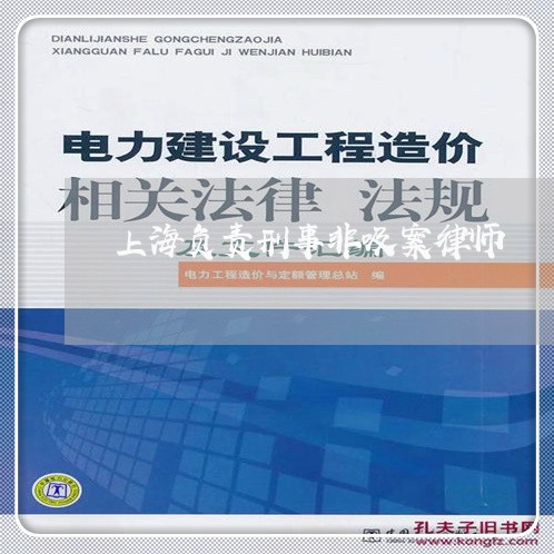 上海负责刑事非吸案律师/2023041139592