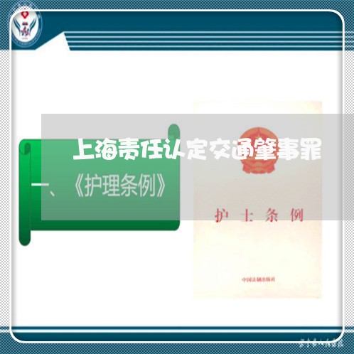 上海责任认定交通肇事罪/2023021541414 上海责任认定交通肇事罪/2023021541414