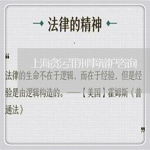 上海贪污罪刑事辩护咨询/2023041164625