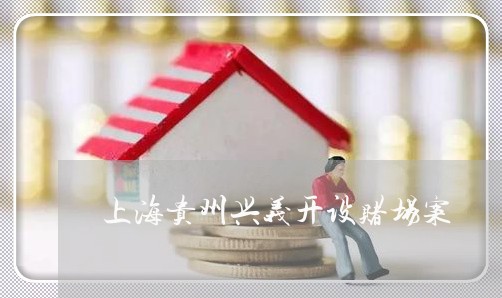 上海贵州兴义开设赌场案/2023021630473