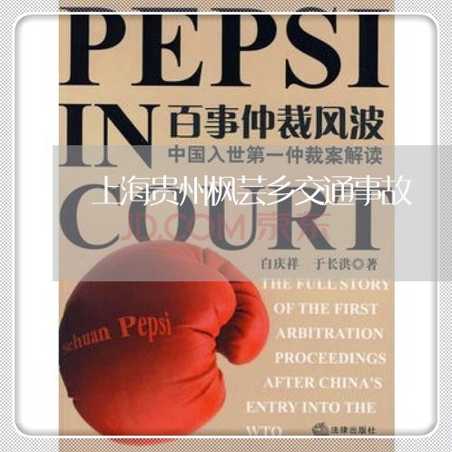 上海贵州枫芸乡交通事故/2023021627390 上海贵州枫芸乡交通事故/2023021627390