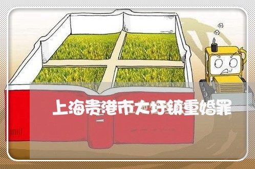 上海贵港市大圩镇重婚罪/2023021671826 上海贵港市大圩镇重婚罪/2023021671826