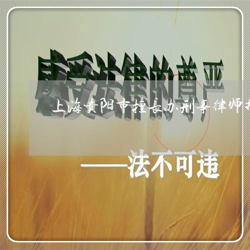 上海贵阳市擅长办刑事律师推荐/2023042095040