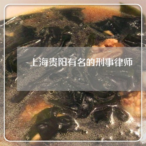 上海贵阳有名的刑事律师/2023041105025