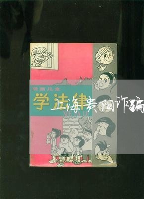 上海贵阳诈骗罪立案标准/2023021658461 上海贵阳诈骗罪立案标准/2023021658461