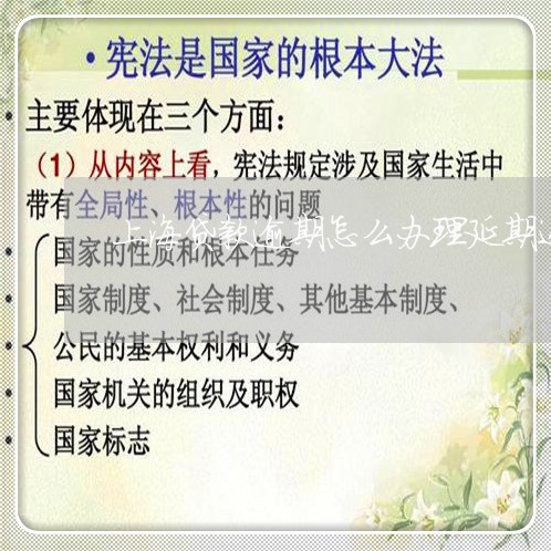 上海贷款逾期怎么办理延期还款/2023060571693