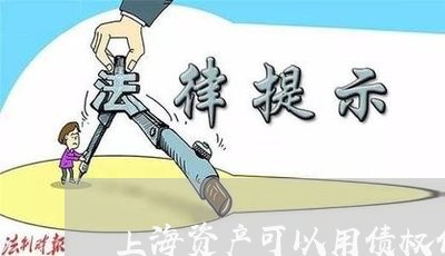 上海资产可以用债权债务/2023041183717