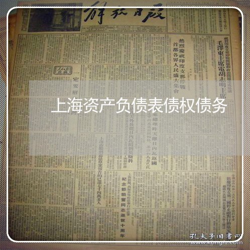 上海资产负债表债权债务/2023021649462 上海资产负债表债权债务/2023021649462
