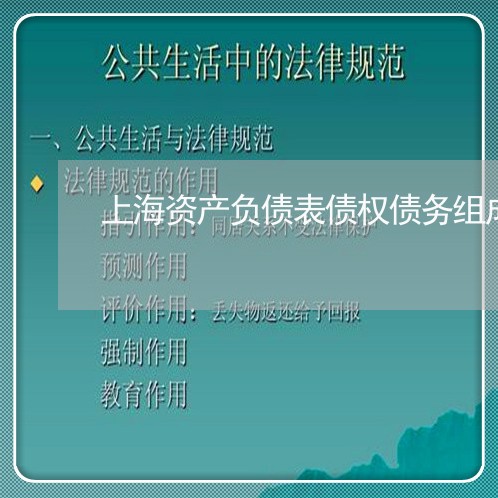 上海资产负债表债权债务组成/2023032259583 上海资产负债表债权债务组成/2023032259583