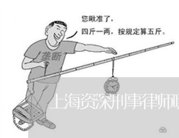 上海资深刑事律师哪家好/2023021573704 上海资深刑事律师哪家好/2023021573704