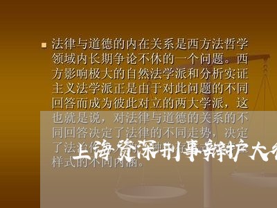 上海资深刑事辩护大律师/2023021547463 上海资深刑事辩护大律师/2023021547463