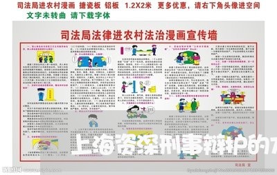 上海资深刑事辩护的方式/2023041128460