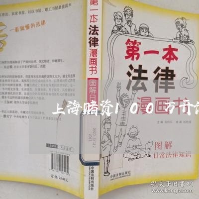 上海赌资100万开设赌场罪/2023032261572