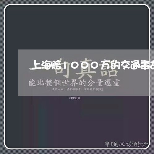 上海赔1000万的交通事故/2023032237261