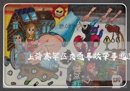 上海赛罕区交通事故肇事逃逸/2023032292139 上海赛罕区交通事故肇事逃逸/2023032292139