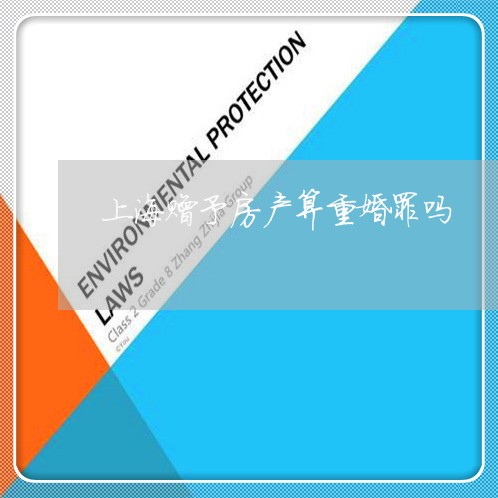 上海赠予房产算重婚罪吗/2023021573916