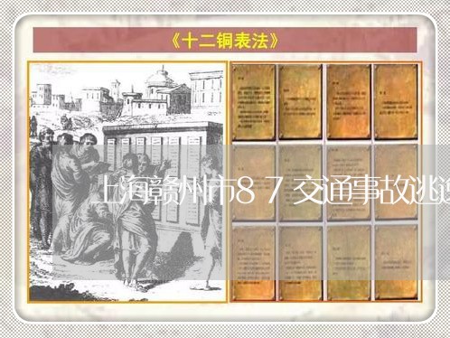 上海赣州市87交通事故逃逸/2023032215156 上海赣州市87交通事故逃逸/2023032215156