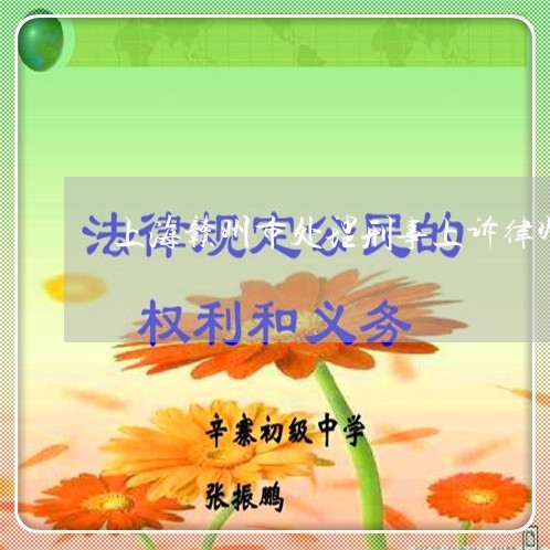 上海赣州市处理刑事上诉律师/2023032276028