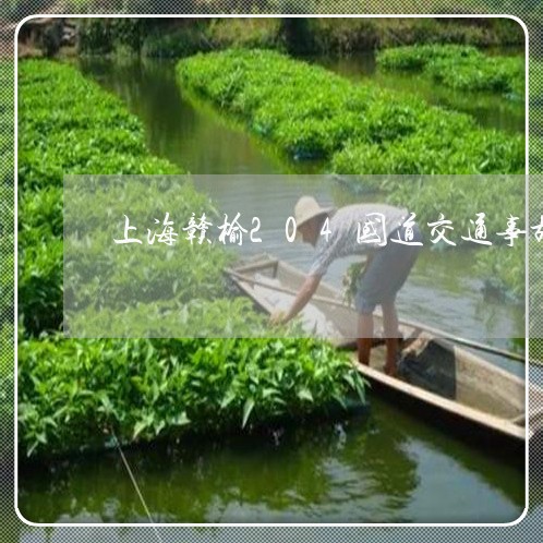 上海赣榆204国道交通事故/2023032297948 上海赣榆204国道交通事故/2023032297948