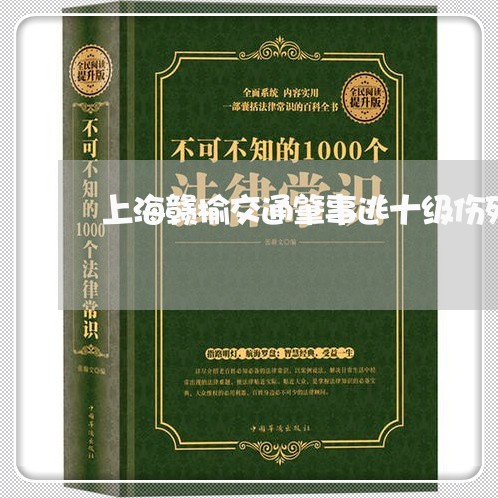 上海赣榆交通肇事逃十级伤残/2023032239482