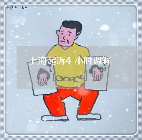 上海起诉4小时调解/2023021693604