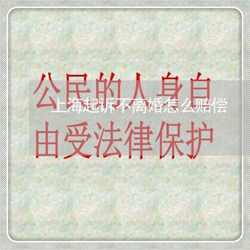 上海起诉不离婚怎么赔偿/2023021529381 上海起诉不离婚怎么赔偿/2023021529381