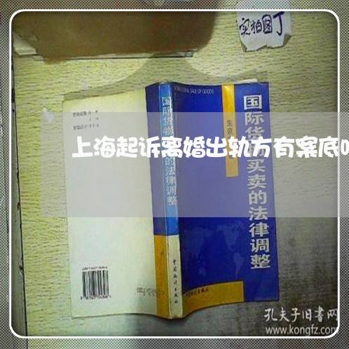 上海起诉离婚出轨方有案底吗/2023032235161