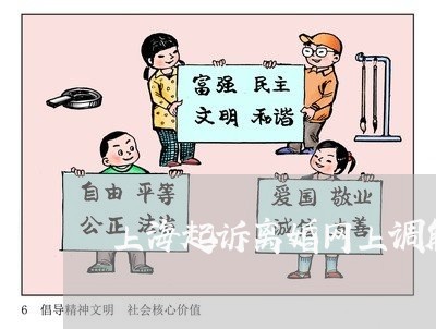 上海起诉离婚网上调解可以吗/2023032240492