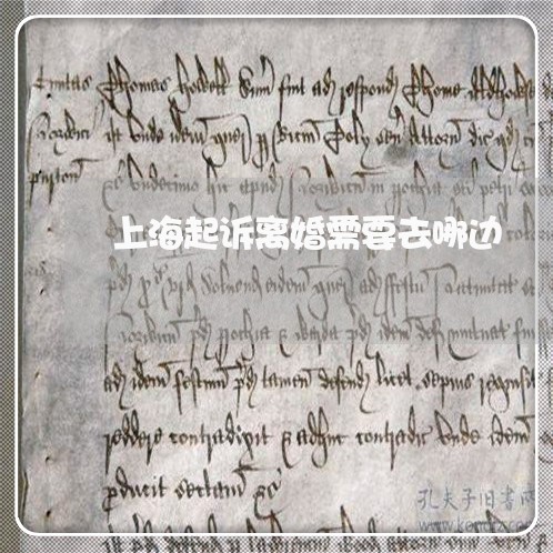 上海起诉离婚需要去哪边/2023021659425 上海起诉离婚需要去哪边/2023021659425