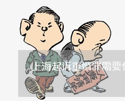 上海起诉重婚罪需要什么手续/2023032241495 上海起诉重婚罪需要什么手续/2023032241495