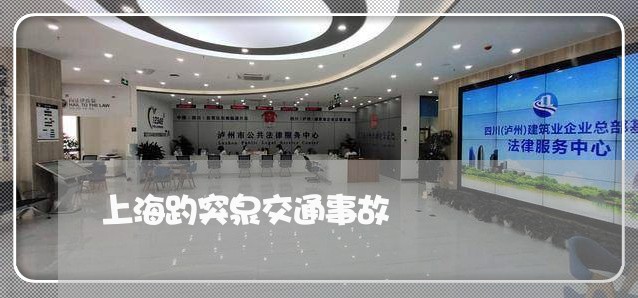 上海趵突泉交通事故/2023032551603 上海趵突泉交通事故/2023032551603