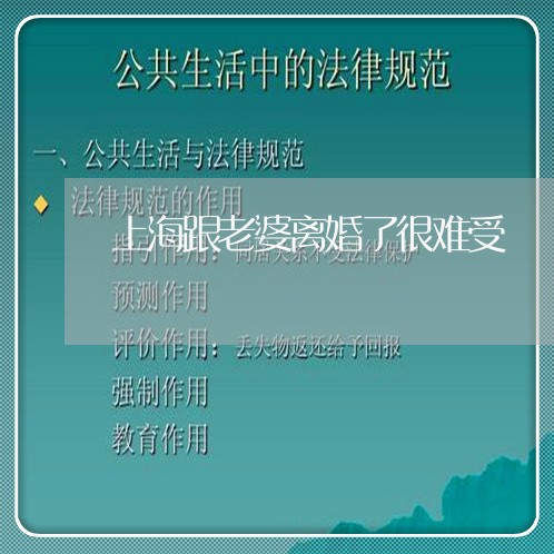上海跟老婆离婚了很难受/2023021614257 上海跟老婆离婚了很难受/2023021614257