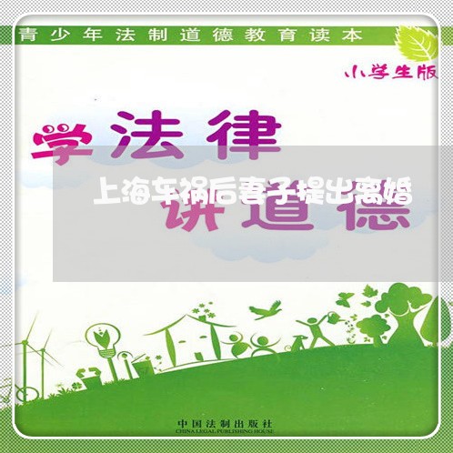 上海车祸后妻子提出离婚/2023021684948 上海车祸后妻子提出离婚/2023021684948