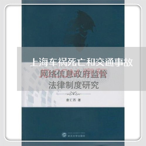 上海车祸死亡和交通事故/2023021625148 上海车祸死亡和交通事故/2023021625148